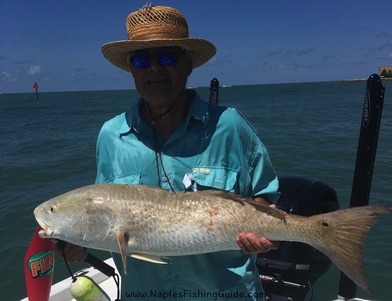 Naples Fishing Guide specializes in fishing the backwaters from Naples to  the 10,000 islands targeting Snook, Redfish, Trout, Tarpon, and various  other species. - BUSTNLOOSE Backwater Charters